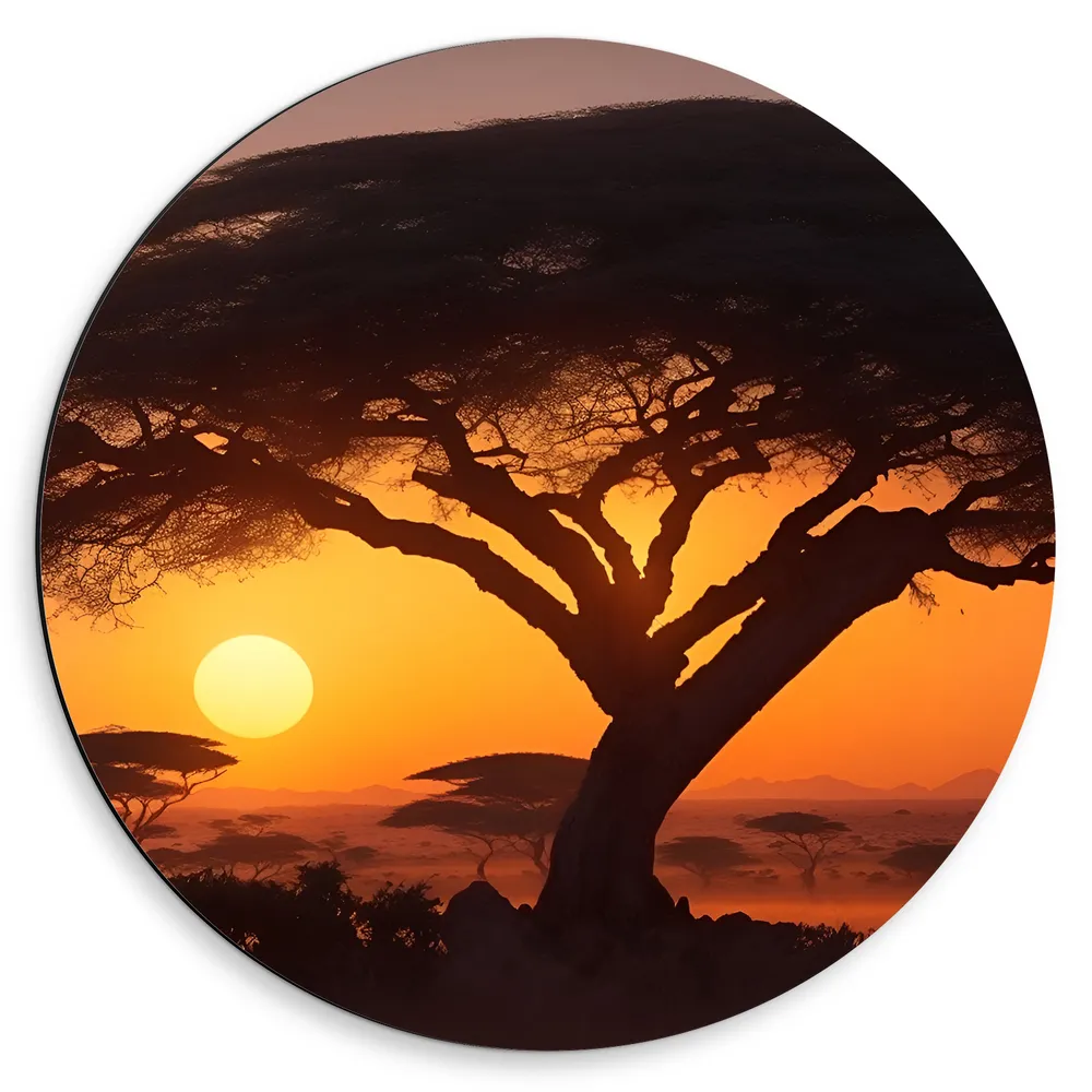 Dibond Muurcirkel - Silhouet van Grote Acacia Boom op Savanne tijdens Zonsondergang