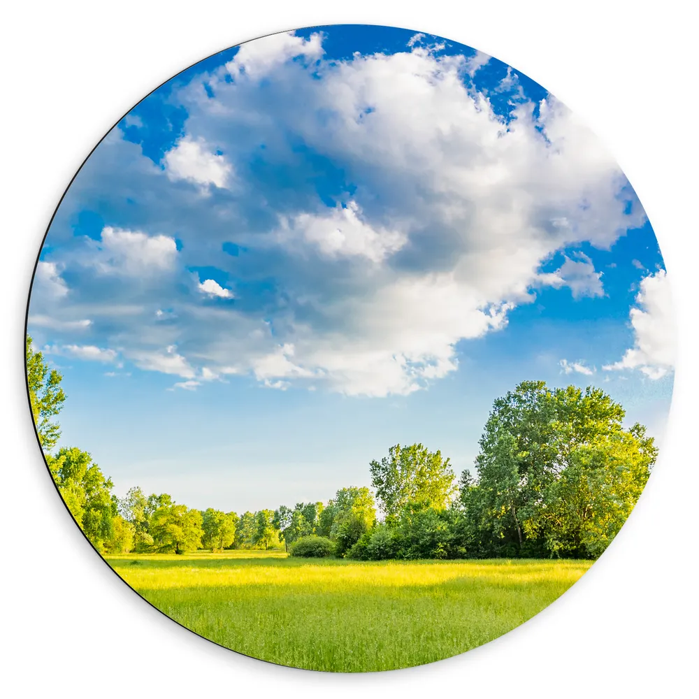 Dibond Muurcirkel - Natuur Weide in de Lente