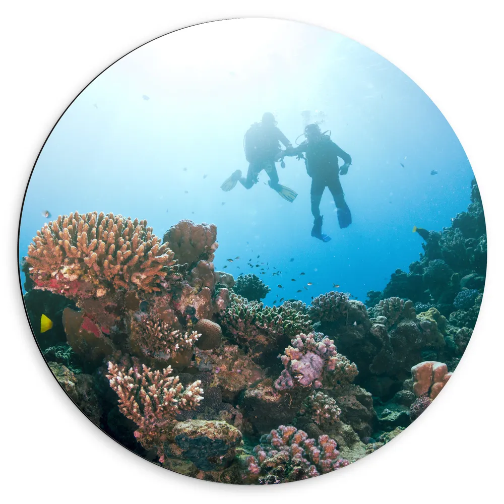 Dibond Muurcirkel - Oceaan - Zee - Duikers - Koraal - Vissen
