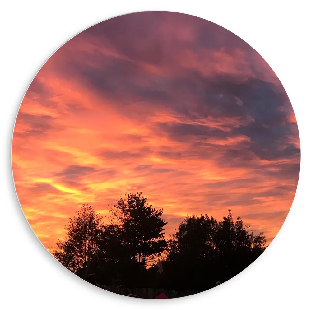 Dibond Muurcirkel - Roze Gloed in Lucht boven Silhouet van Bomen