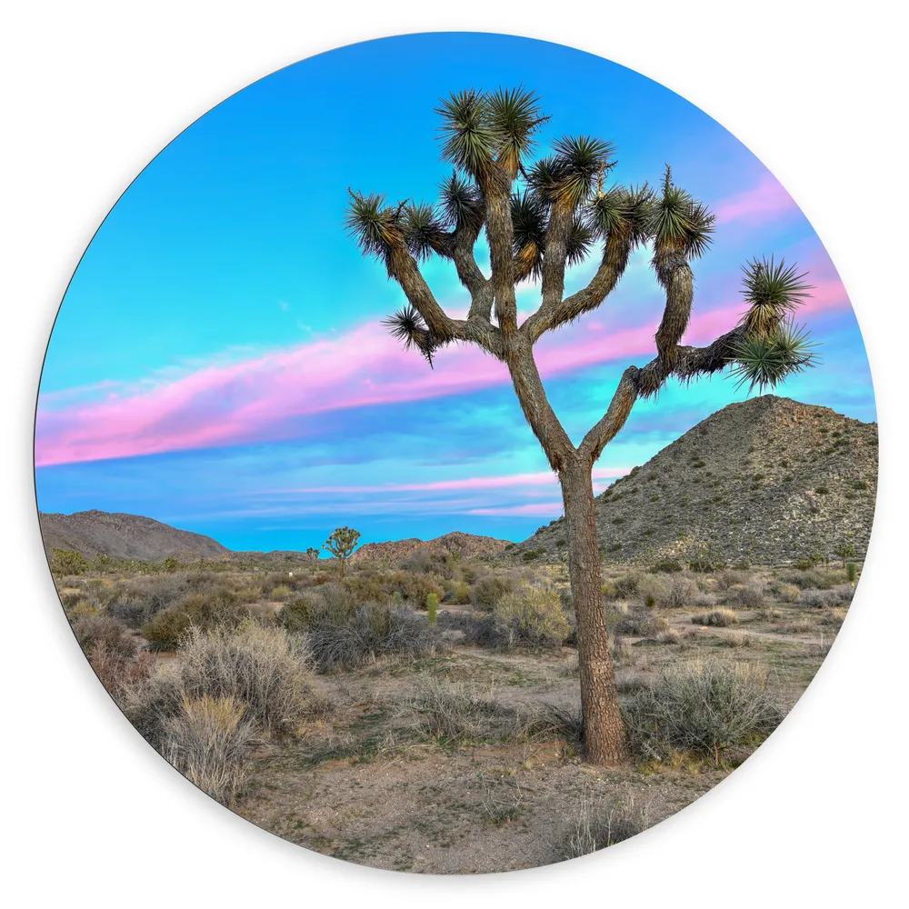 Dibond Muurcirkel - Landschap met Prachtig Roze en Blauw Gekleurde Lucht