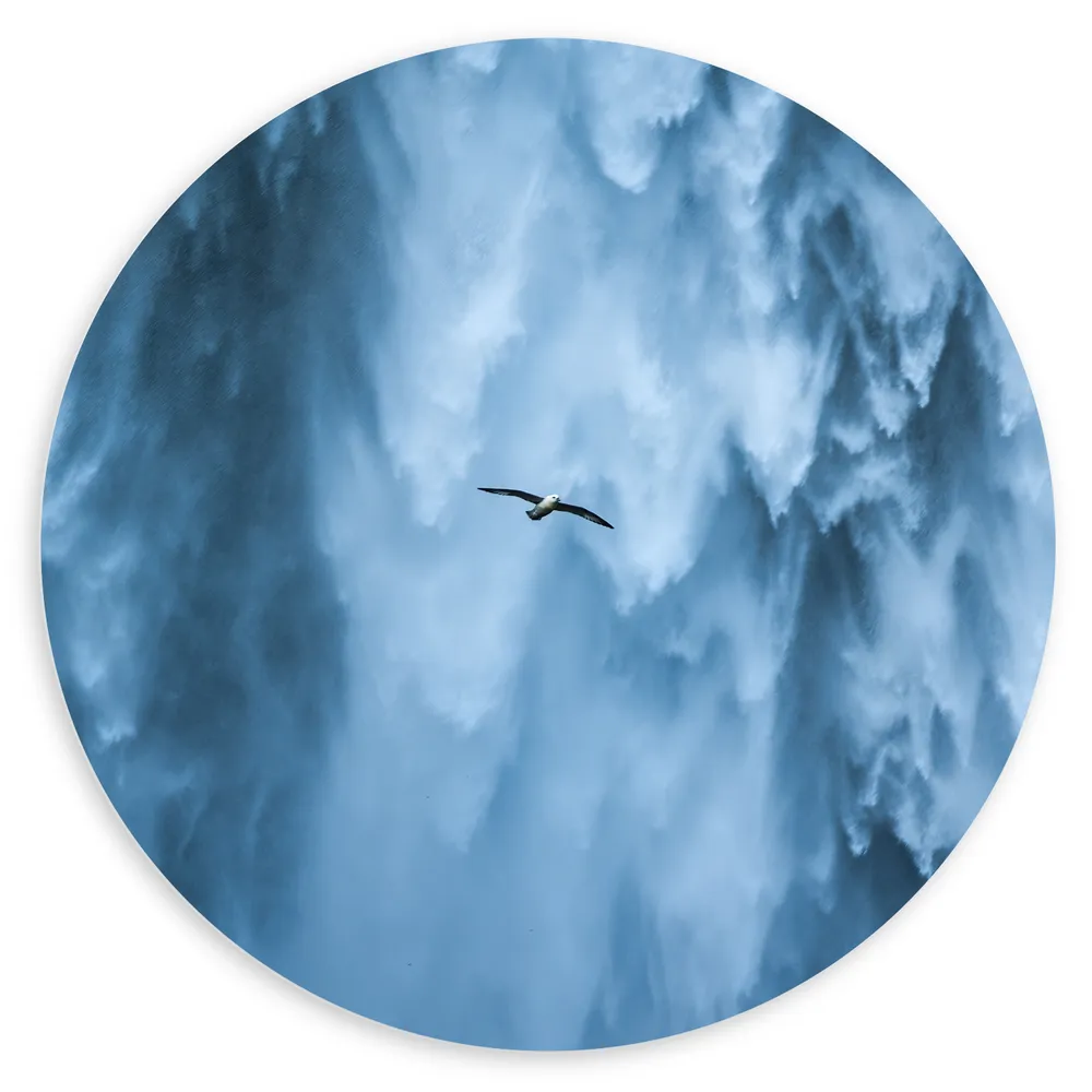 Dibond Muurcirkel - Vogel Vliegend Langs Hoge Wilde Waterval