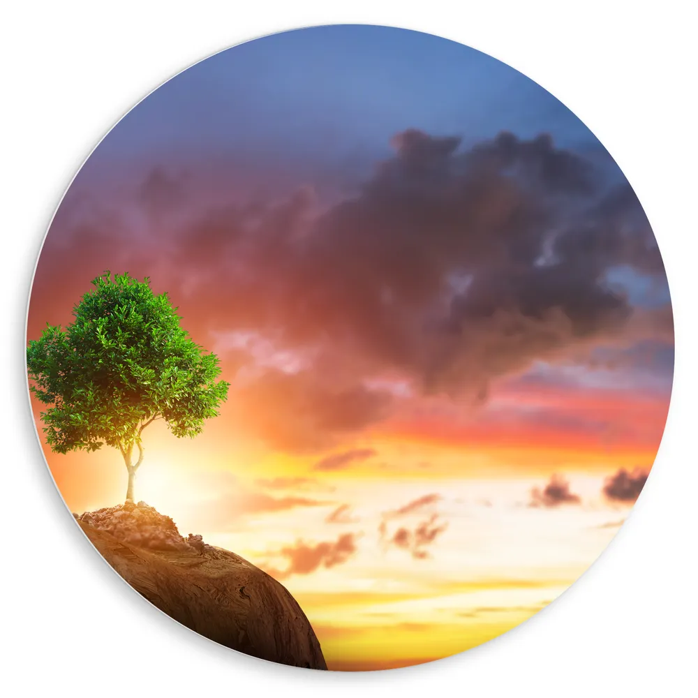 Dibond Muurcirkel - Fel Groen Gekleurde Boom met Prachtige Zonsondergang op een Berglandschap