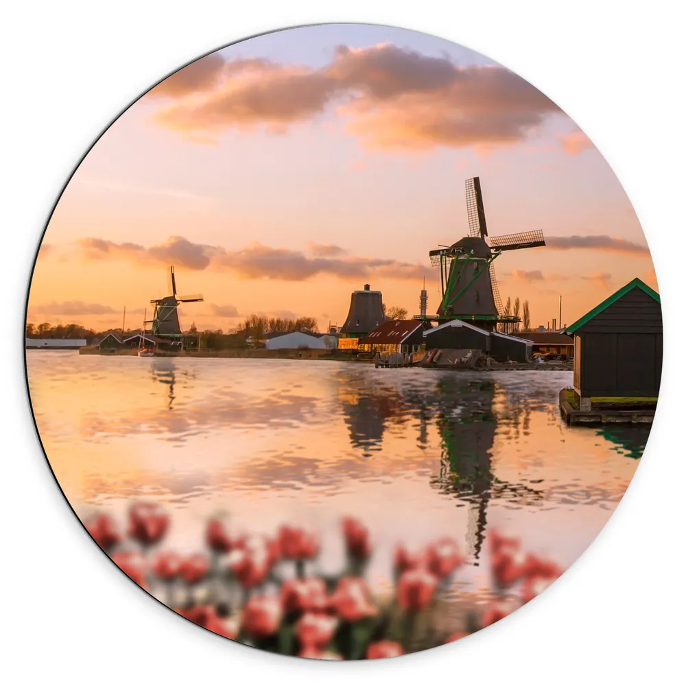 Dibond Muurcirkel - Rij Tulpen aan het Water voor Molens in Nederland