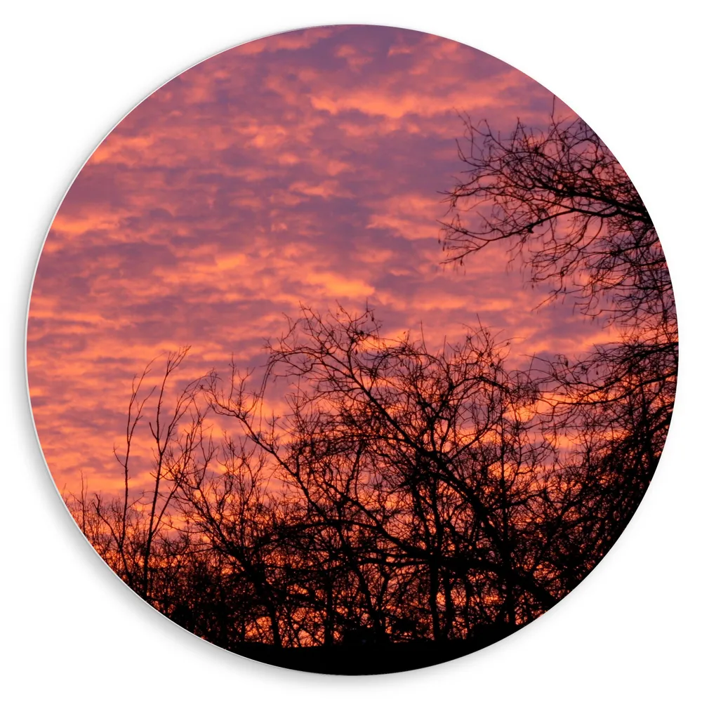 Dibond Muurcirkel - Silhouet van Bomen onder Roze met Paarse Lucht