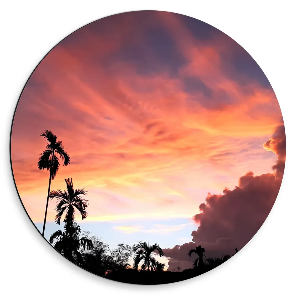 Dibond Muurcirkel - Bomen - Palmbomen - Wolken - Lucht - Kleuren