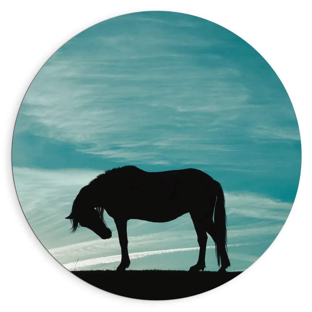 Dibond Muurcirkel - Silhouet van Buigend Paard onder Stralend Blauwe Lucht