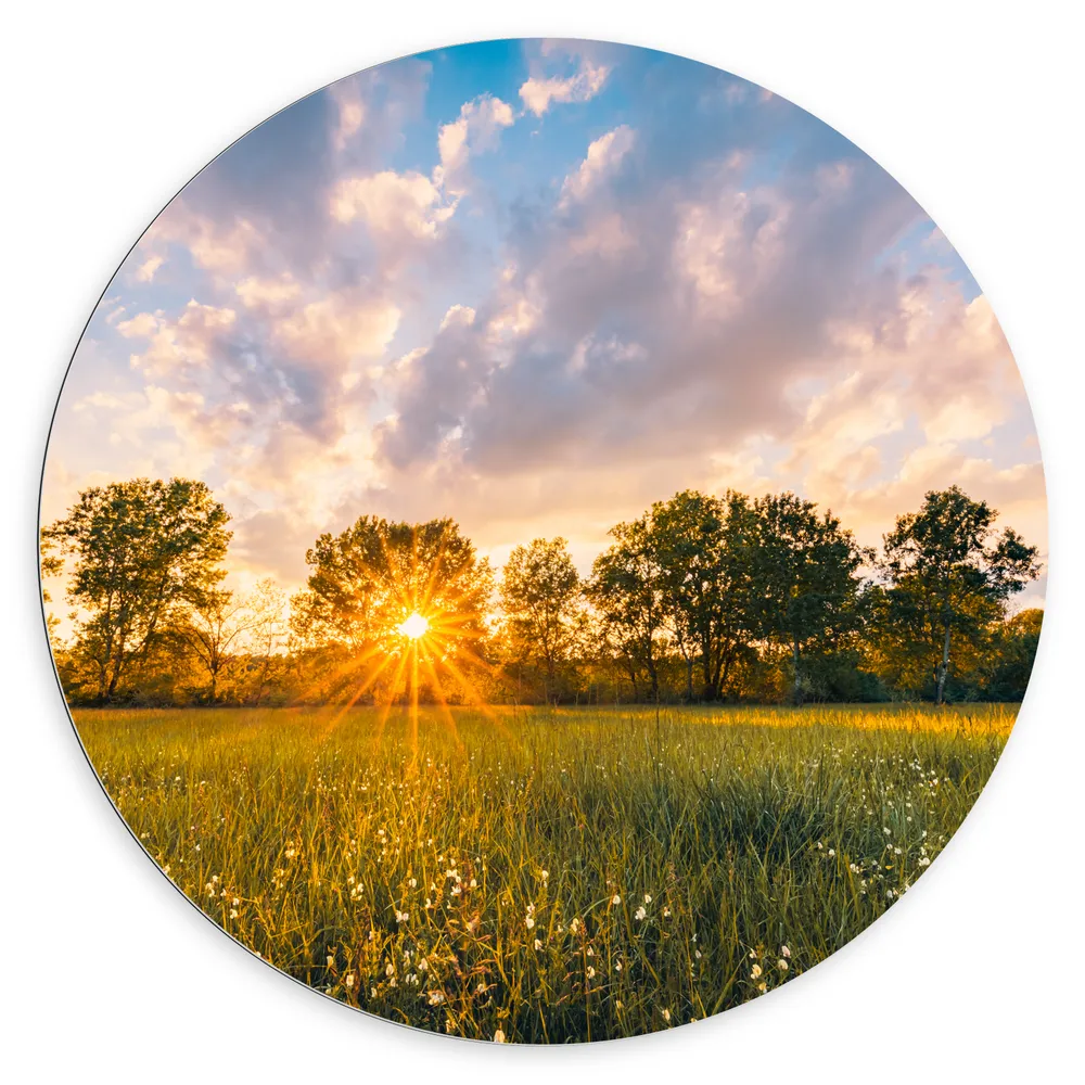 Dibond Muurcirkel - Zonsondergang over Veld met Kleine Wilde Bloemen