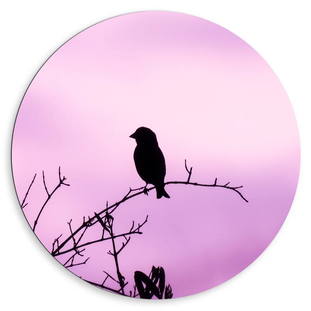 Dibond Muurcirkel - Silhouet van een Klein Vogeltje tegen Paarskleurige Lucht