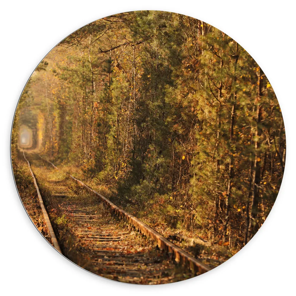 Dibond Muurcirkel - Tunnel vna de Liefde in Oekraïne