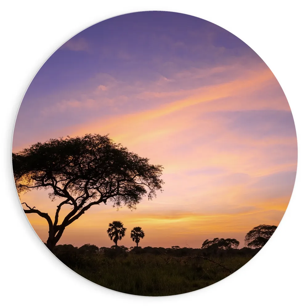 Dibond Muurcirkel - Zonsopkomst achter Bomen tijdens Zonsopkomst in Murchison Falls, Uganda