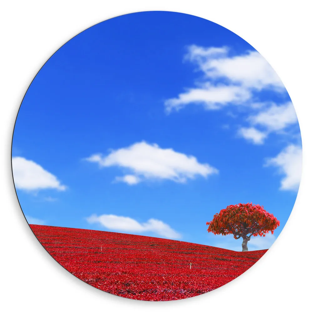 Dibond Muurcirkel - Kleurrijk Rood Gekleurd Landschap met Blauwe Lucht