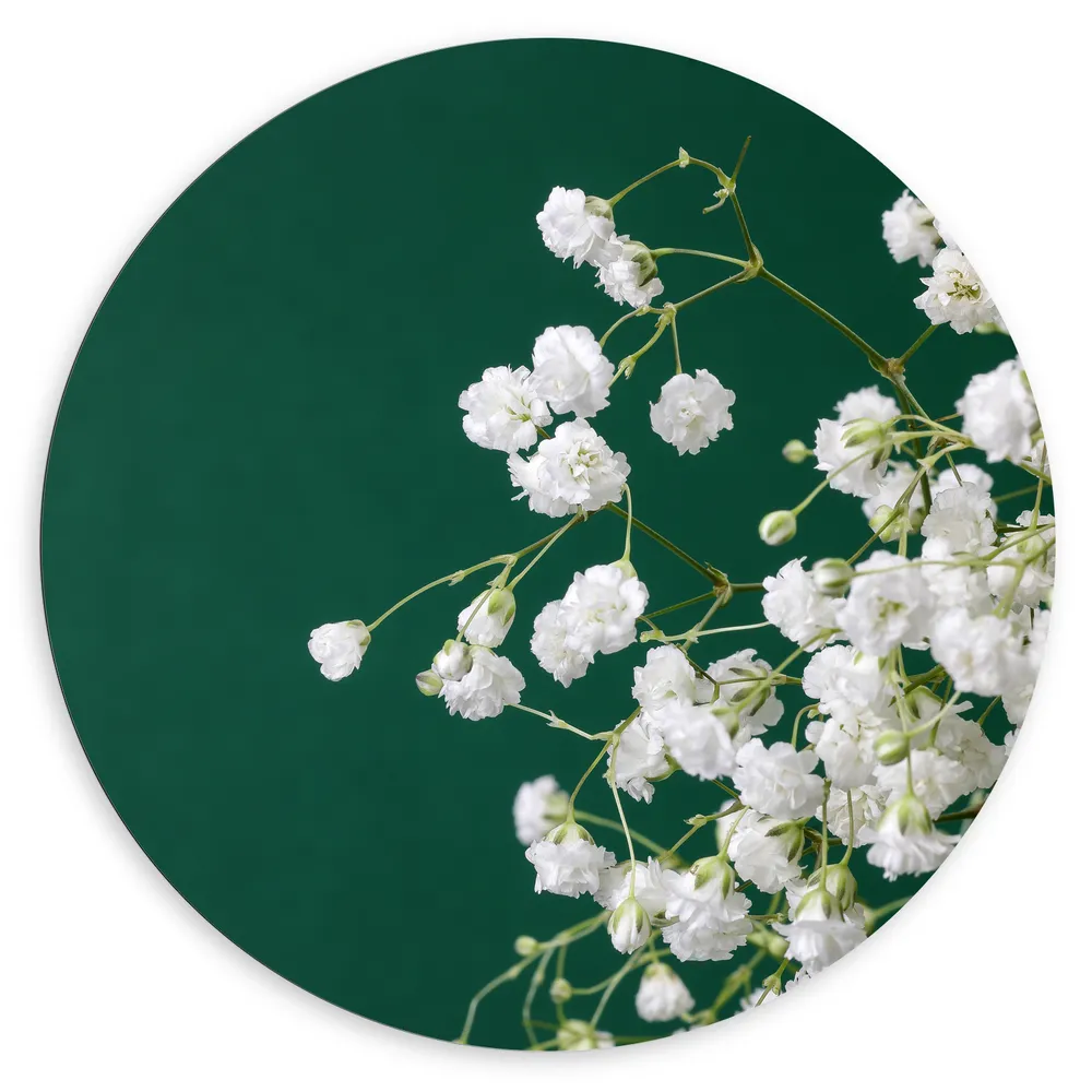 Dibond Muurcirkel - Kleine Witte Bloemen aan Takjes Voor Donker Groene Achtergrond