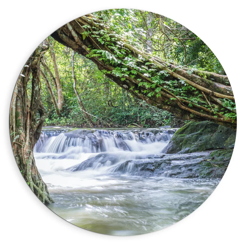 Dibond Muurcirkel - Boom in het Midden van Stromende Rivier in het Bos