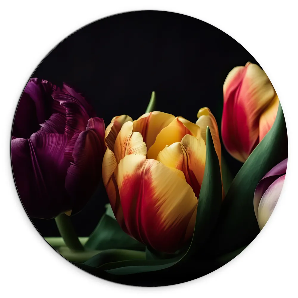 Dibond Muurcirkel - Diverse Gekleurde Tulpen in het Donker - Bloemen