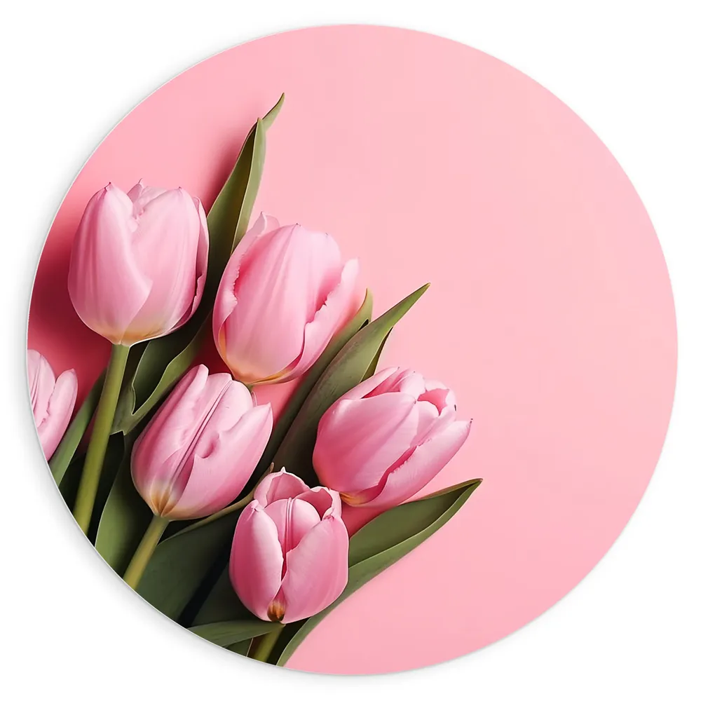 Dibond Muurcirkel - Boeket van Roze Tulpen Liggend op Roze Oppervlak