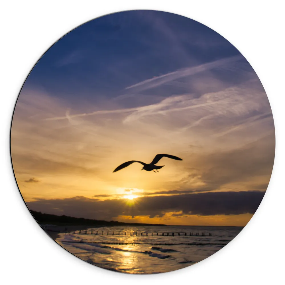 Dibond Muurcirkel - Silhouet van Meeuw vliegend boven Kalme Zee