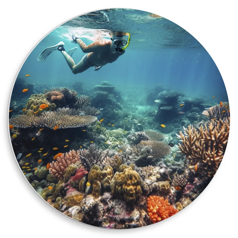 Dibond Muurcirkel - Oceaan - Zee - Vissen - Koraal - Snorkelen - Kleuren