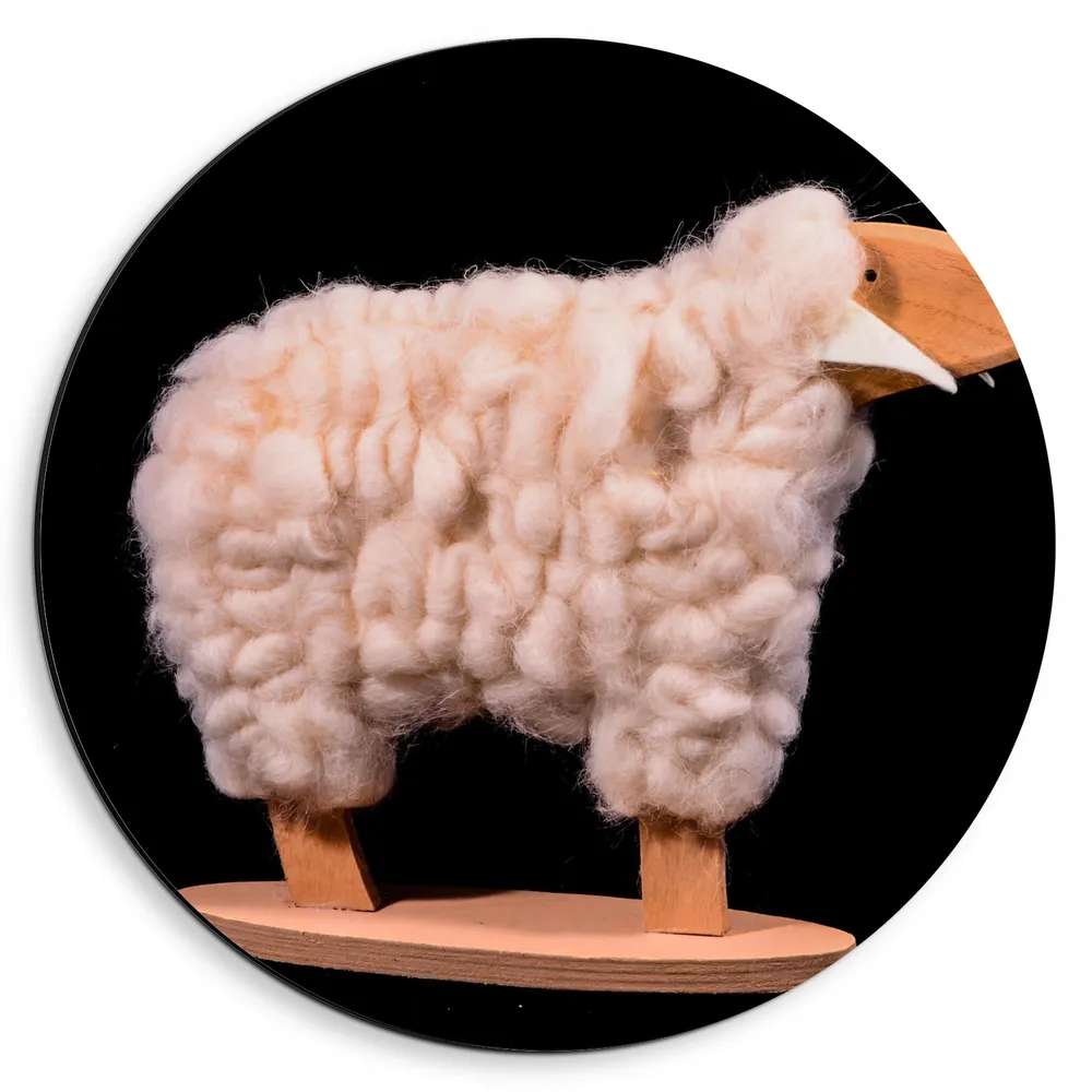 Dibond Muurcirkel - Beeld van Schaap met Wol tegen Zwarte Achtergrond