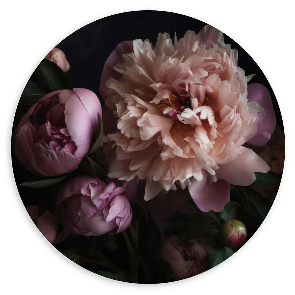Dibond Muurcirkel - Roze Rozen