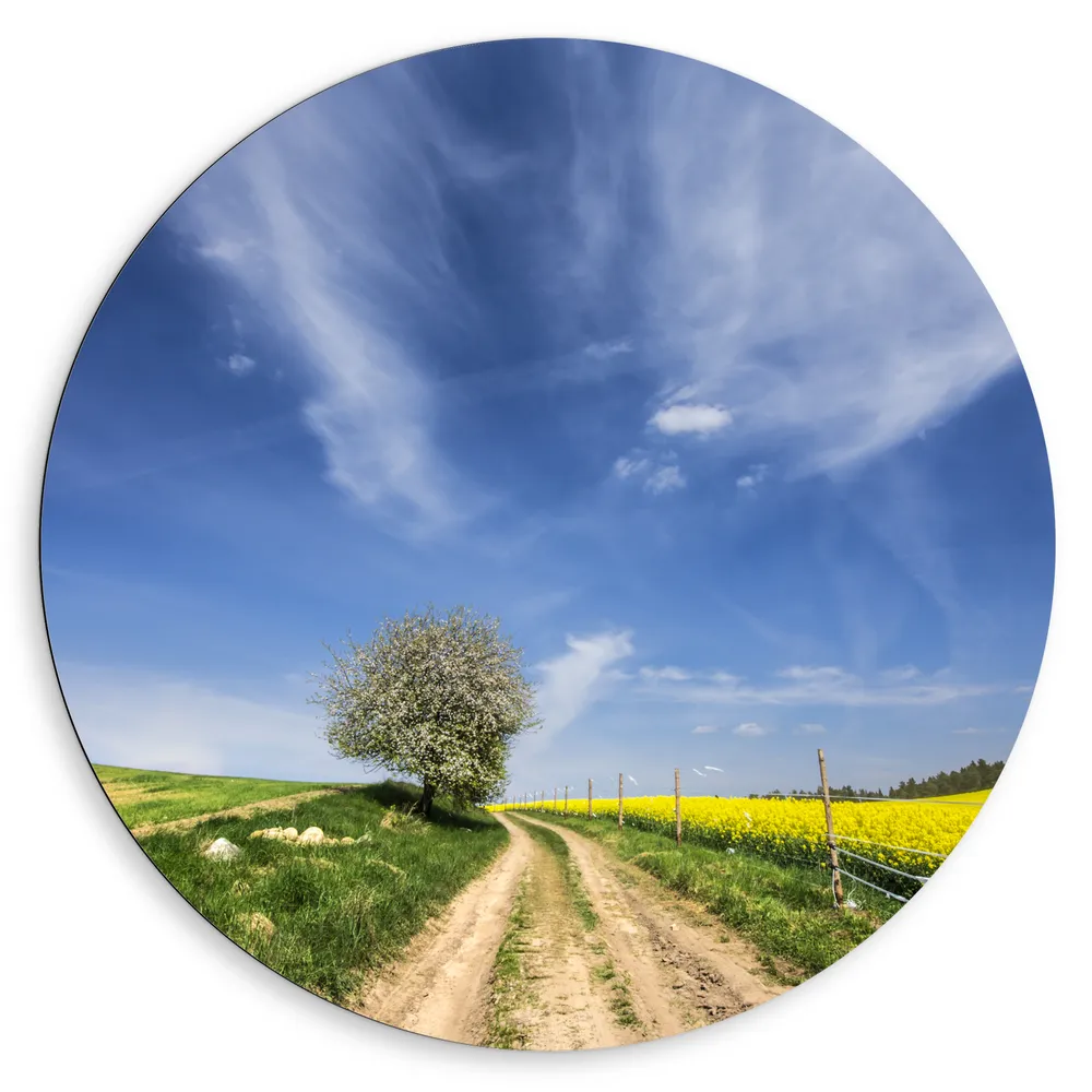 Dibond Muurcirkel - Landschap - Boom - Natuur - Bloemen - Gras
