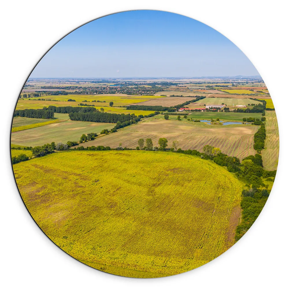 Dibond Muurcirkel - Bovenaanzicht Landschap met Gras en Planten