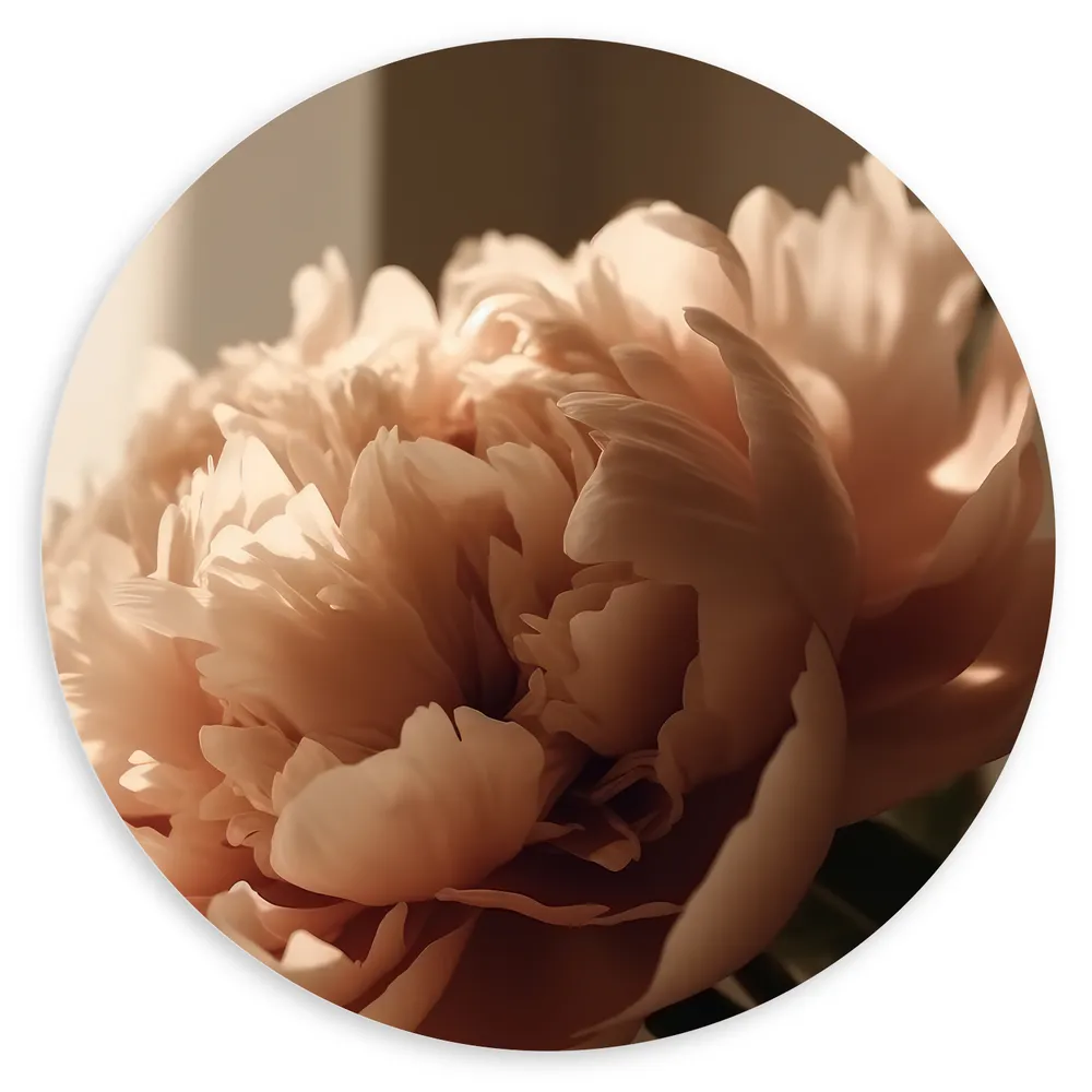 Dibond Muurcirkel - Bloeiende Grote Pastelroze Bloemen