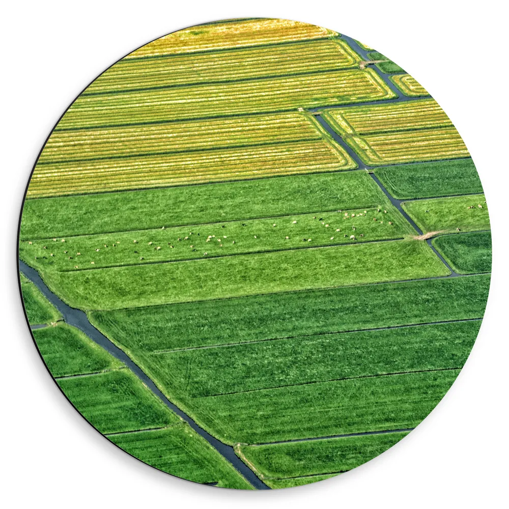 Dibond Muurcirkel - Begroeide Weides van Nederland