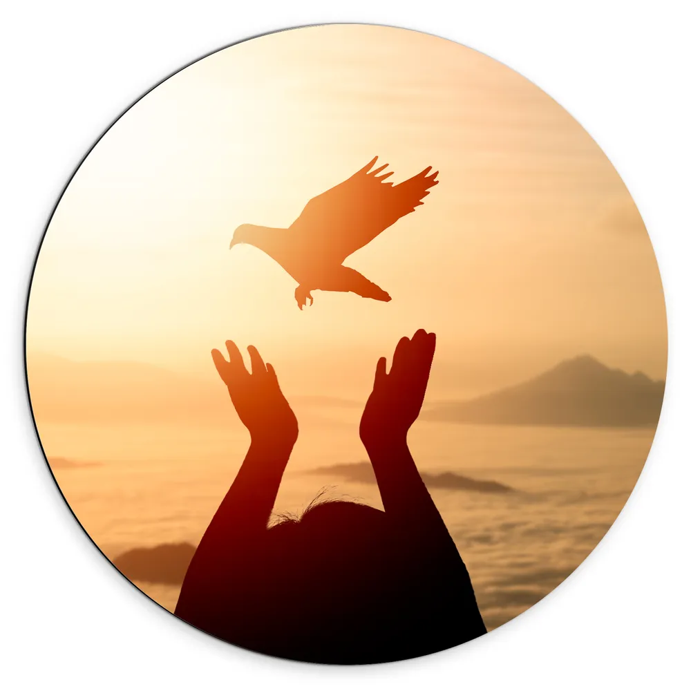 Dibond Muurcirkel - Vrijgelaten Vogel uit Mensen Handen bij de Zee tijdens Felle Zon