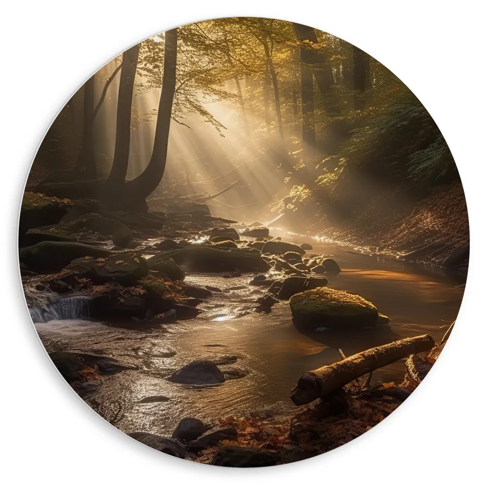 Dibond Muurcirkel - Bomen - Bossen - Water - Takken - Balderen