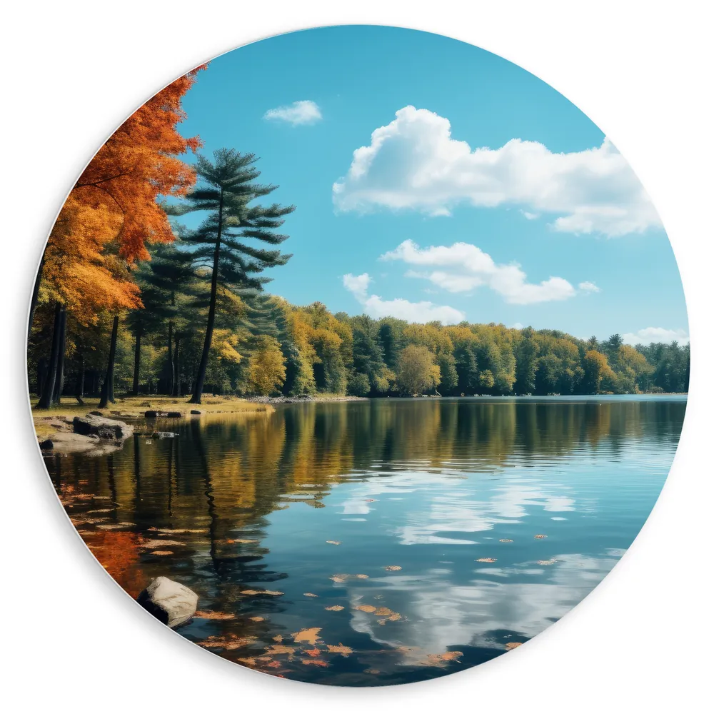 Dibond Muurcirkel - Bomen - Bos - Meer - Water - Kleuren