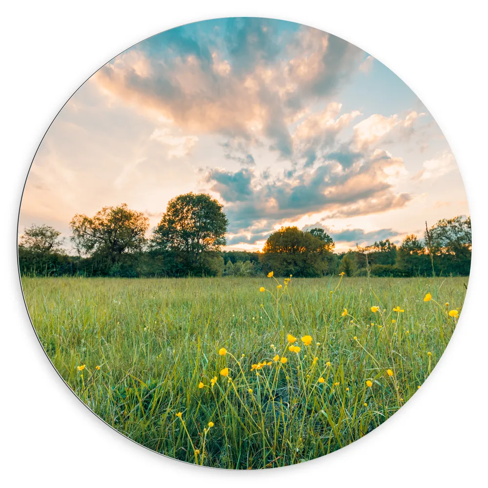 Dibond Muurcirkel - Zonsondergang onder een Landschap met Gele Bloemen