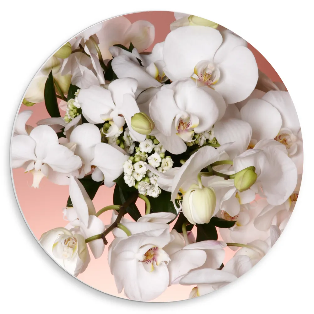Dibond Muurcirkel - Vlinderorchidee bloemen lichtroze wit gekleurd