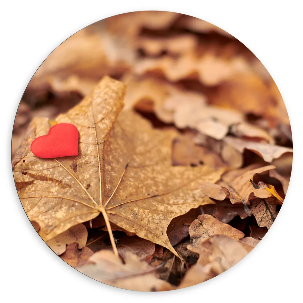 Dibond Muurcirkel - Rood Hart Liggend op Bruin Herfstblad