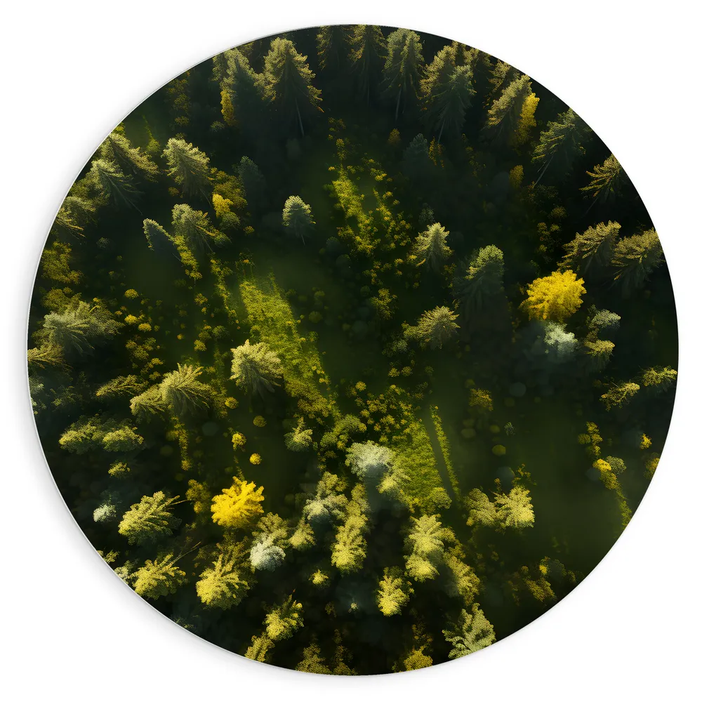 Dibond Muurcirkel - Bomen - Bossen - Bovenaanzicht - Groen