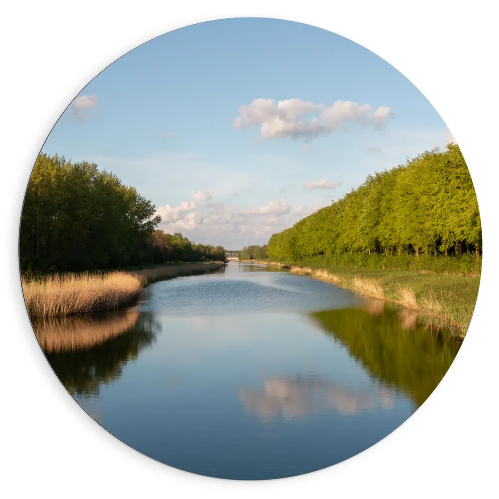 Dibond Muurcirkel - Smalle Rivier stromend door Nederlandse Bossen