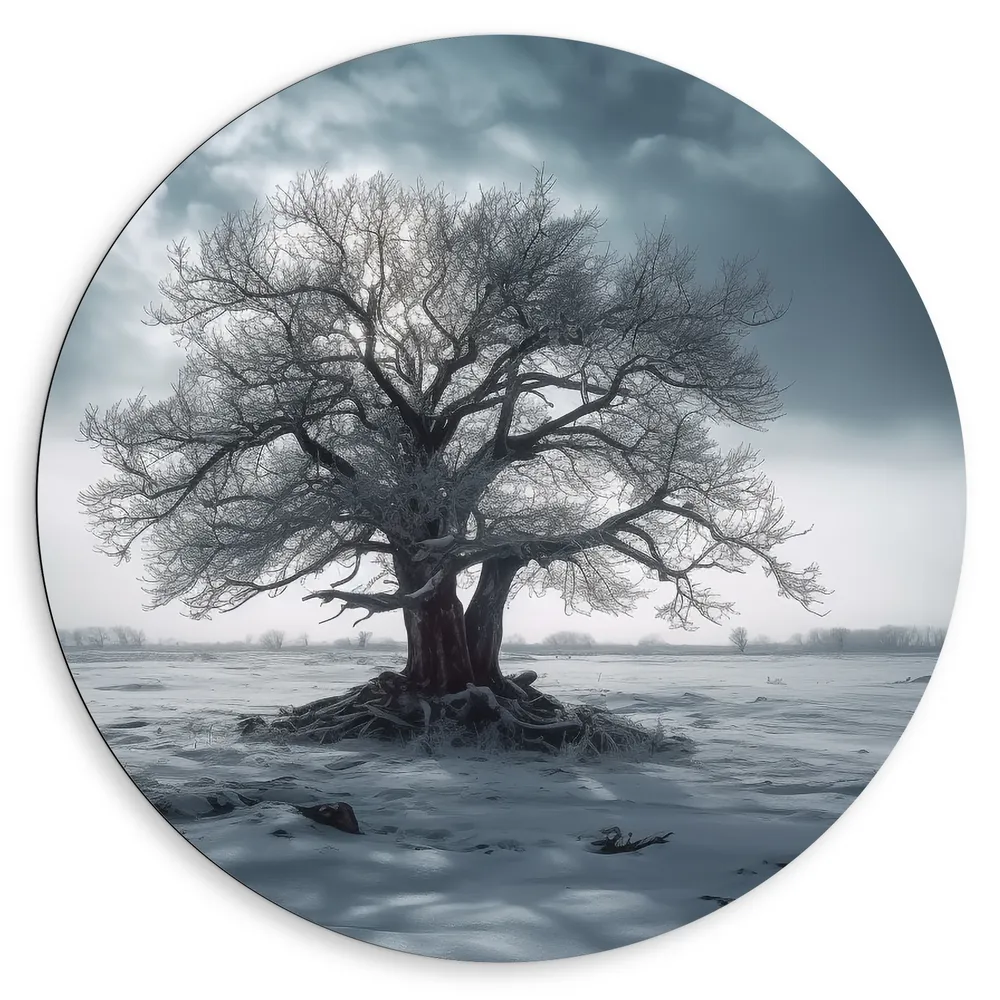 Dibond Muurcirkel - Boom - Landschap - Sneeuw - Winter