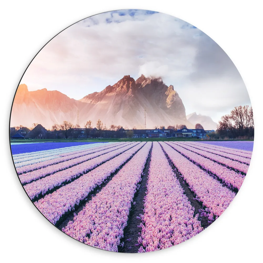 Dibond Muurcirkel - Bloemenveld Vol Hyacinten, Nederland