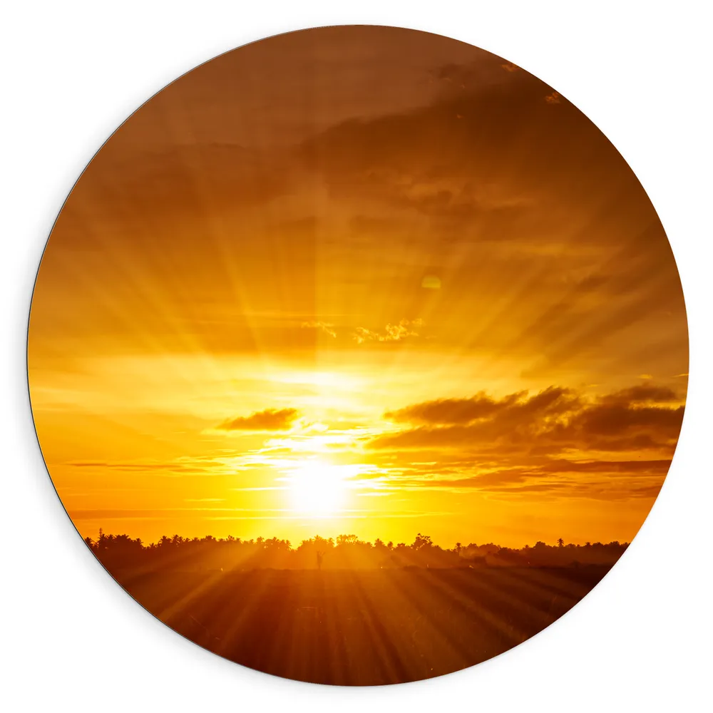 Dibond Muurcirkel - Felle Zonsondergang aan de Horizon achter Bomen