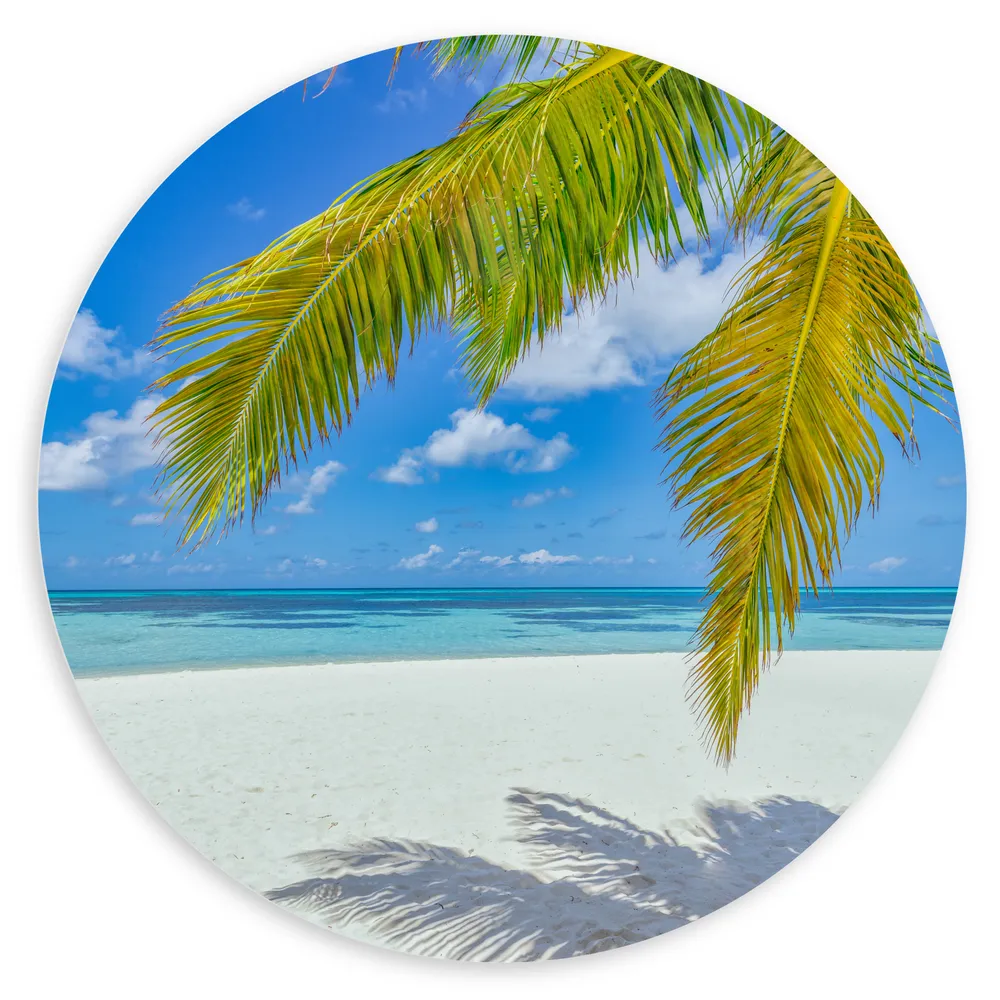 Dibond Muurcirkel - Palmbladeren Hangend voor Tropisch Eiland met Breed Strand