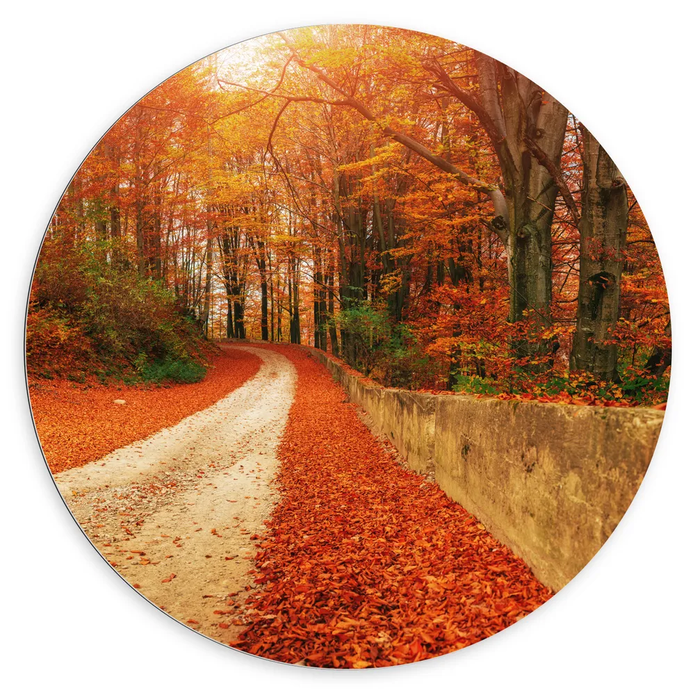 Dibond Muurcirkel - Landschap - Bomen - Bossen - Bladeren - Herfst
