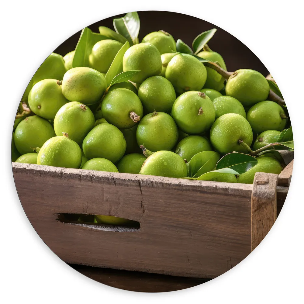 Dibond Muurcirkel - Krat - Hout - Eten - Limoen - Groen