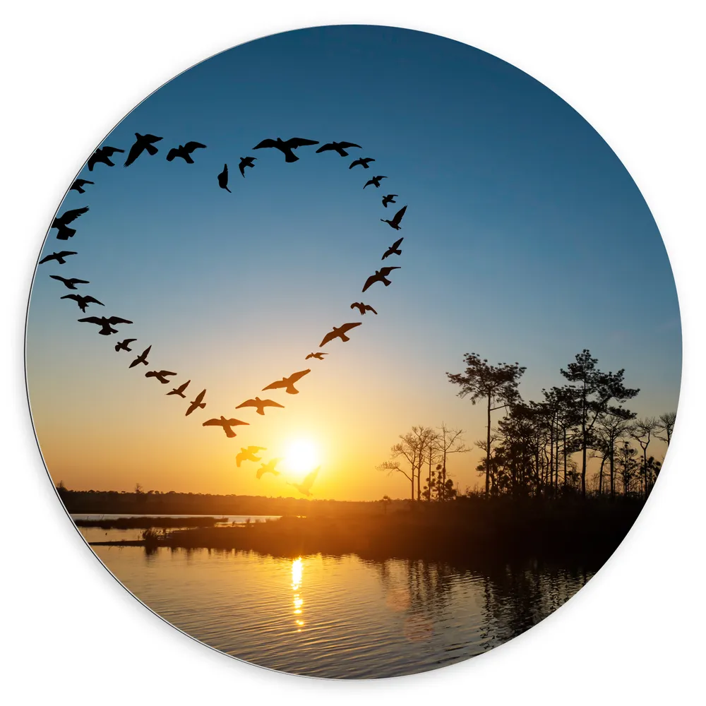 Dibond Muurcirkel - Zwerm Vogels Vliegend in Hartvorm boven het Water