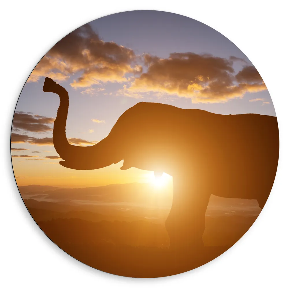 Dibond Muurcirkel - Zonnestralen achter Olifant omringd door Wolken