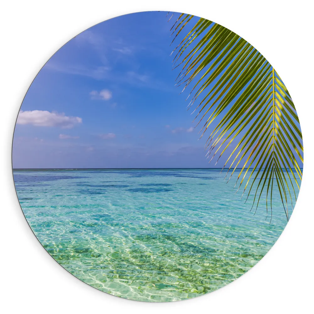 Dibond Muurcirkel - Palmbladen hangend voor een Heldere Oceaan