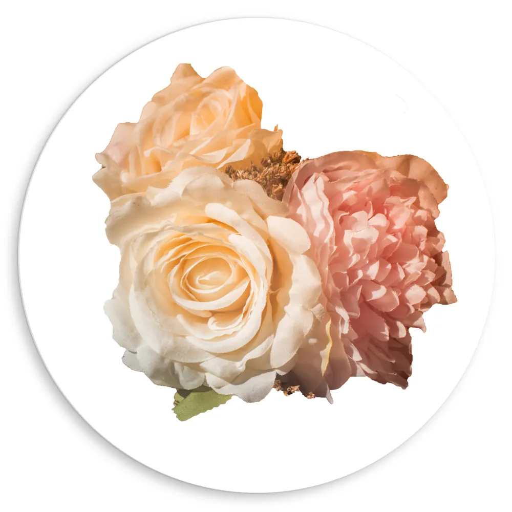 Dibond Muurcirkel - Witte, Beige en Roze Bloemen tegen Witte Achtergrond