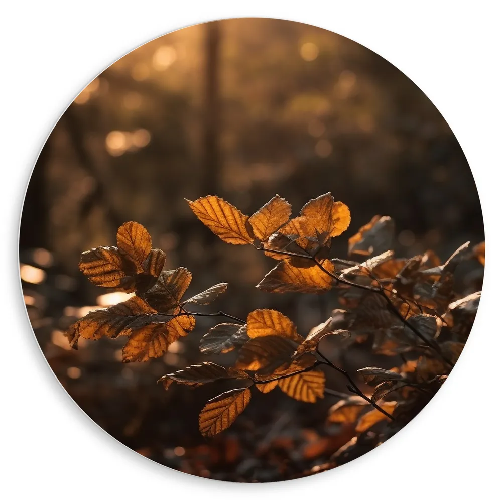 Dibond Muurcirkel - Takken - Bladeren - Herfst