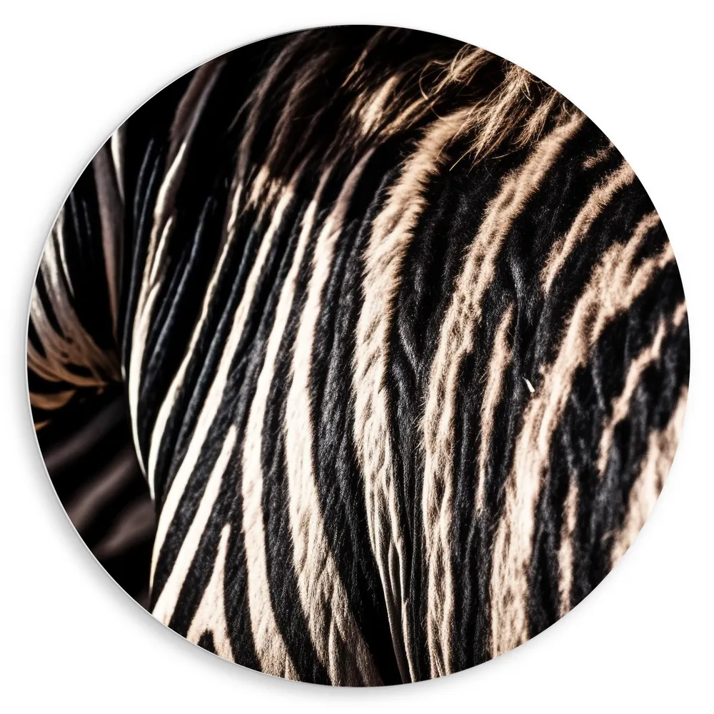 Dibond Muurcirkel - Close-up van Strepen van een Zebra
