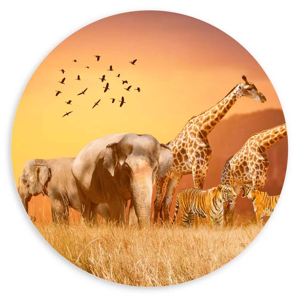 Dibond Muurcirkel - De Dieren van het Afrikaanse Landschap