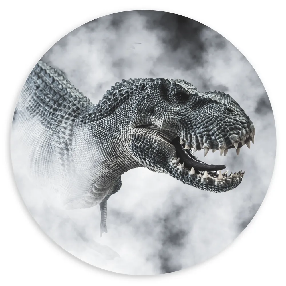 Dibond Muurcirkel - Gevaarlijke T-rex Dinosauris in de Mist (Zwart- wit)
